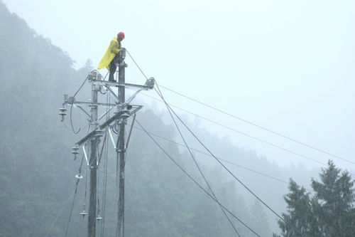 國網重慶市電力公司
